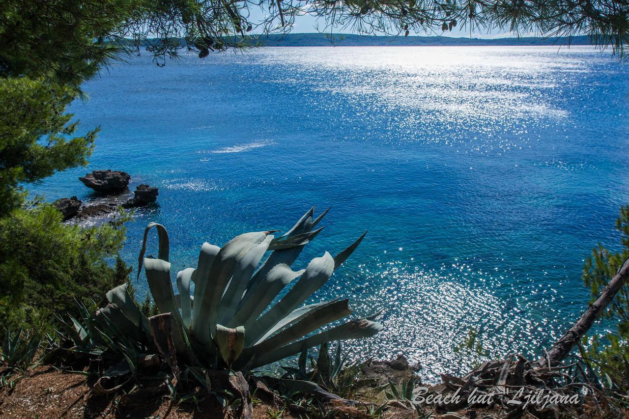Cast Away - Eco Resort Zavala Exterior photo